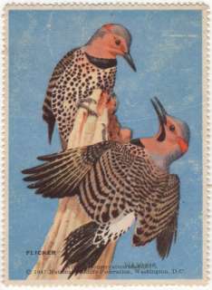 1947 National Wildlife Federation Stamp Flicker  