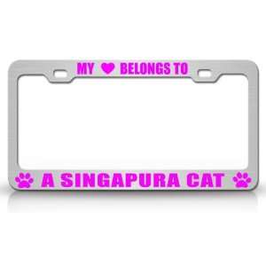  MY HEART BELONGS TO A SINGAPURA Cat Pet Auto License Plate 