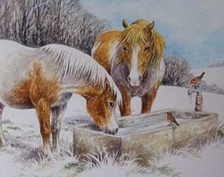 Frances Fry Watercolour Painting   Shetland Ponies & Robins In A Snowy 