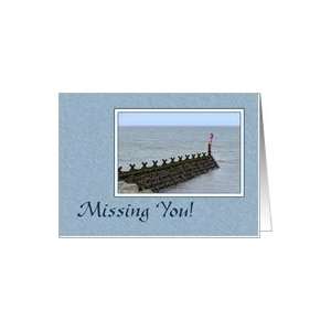  Missing You   Cormorant On Post Card Health & Personal 