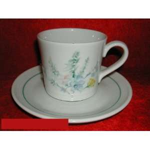  Royal Doulton Shady Lane #LS1043 Cups & Saucers Kitchen 