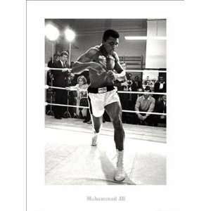  Muhammad Ali Shadow Boxing   Poster (23.5x31.5)