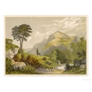 Scottish Highland Moor Scene with a Stag Set Against Majestic Hills 