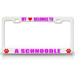 MY HEART BELONGS TO A SCHNOODLE Dog Pet Steel Metal Auto License Plate 