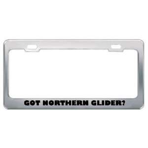 Got Northern Glider? Animals Pets Metal License Plate Frame Holder 