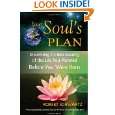 Your Souls Plan Discovering the Real Meaning of the Life You Planned 