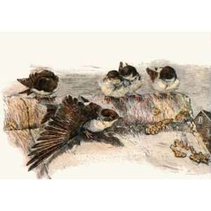 House Sparrows Etching Austen, Winifred Animals, Dogs Birds Engraving 