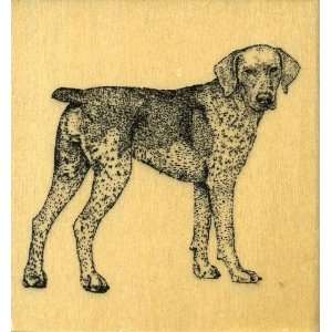    GERMAN SHORTHAIRED POINTER Rubber Stamp Arts, Crafts & Sewing