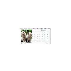    House of Doolittle Kittens Desktop Tent Calendar: Office Products