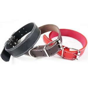  LOVEPET Dog Classical Rolled Leather Collar 1 3/8 x 24 