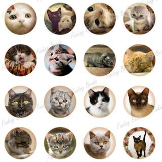 30pcs DIY digital collage sheet cats animal Fit cabochon setting 30x30 