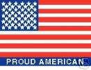 10 Proud American Flag  hardhat stickers  