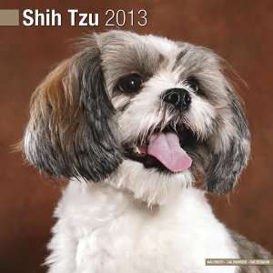  Shih Tzu 2013 Wall Calendar 12 X 12 Office Products