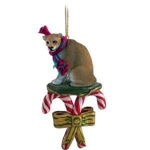  Cougar Candy Cane Christmas Ornament