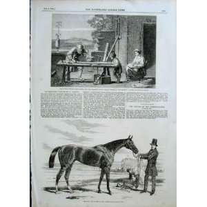  Stolen Art In 1856, Race Horse Malacca