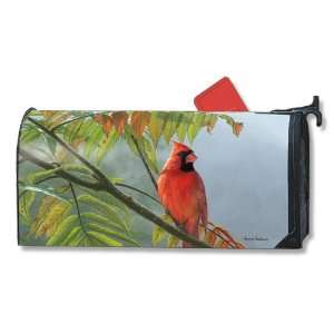 Magnet Works, Ltd. Redbird MailWrap, Magnetic Mailbox Covers, Weather 