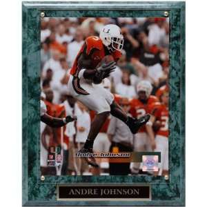 NCAA Miami Hurricanes #5 Andre Johnson 10.5 x 13 Player Plaque 
