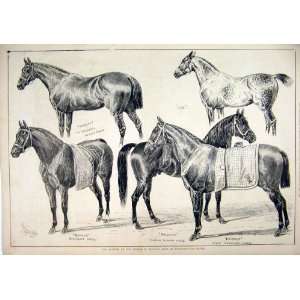   : 1876 Prince Wales Stud Marlborough House Horses Joe: Home & Kitchen