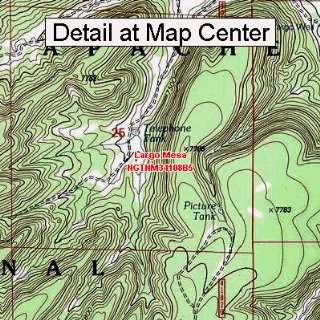  USGS Topographic Quadrangle Map   Largo Mesa, New Mexico 
