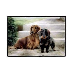  Fiddlers Elbow Long Hair Dachshunds Porch Doormat: Patio 