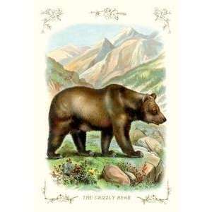  Vintage Art Grizzly Bear   11195 x