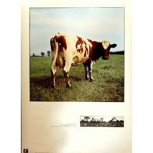  Pink Floyd   Atom Heart Mother 24x34 Poster: Home 