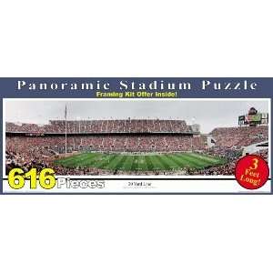  Ohio State 20 Yd Line vs. Penn St 2002 Horseshoe Puzzle 