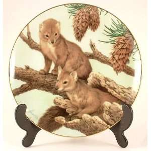  The Forest Year plate   Pine Martens on a February Perch 