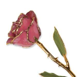  Lacquer Dipped Gold Trim Dusty Pink Rose Jewelry