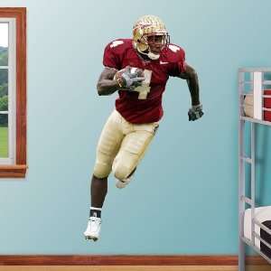  NFL Anquan Boldin Florida State Vinyl Wall Graphic Decal Sticker 
