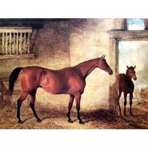 Chestnut Mare With Foal Stable Poster Print