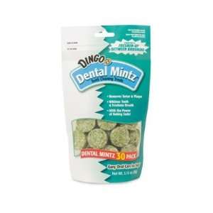  Dingo Dental Mintz, 30 Pack