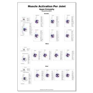 Muscle Activation   Upper Extremity Large Poster by   