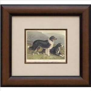  Phoenix Galleries HP256 Sheepdog Framed Print: Baby