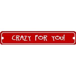  Crazy For You Valentines Day Sign of Affection Novelty Street 