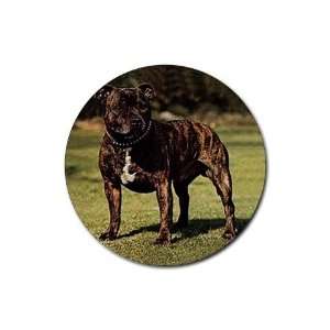  Pit Bull Rubber Round Coaster (4 pack)