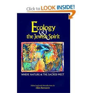   Nature and the Sacred Meet (9781879045880) Ellen Bernstein Books