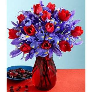Best Red Roses Arrangement   Vase Included:  Grocery 