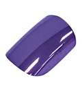   Complete Fingernail Kit Nail PURPLE 88205 Glue On Artificial Nails