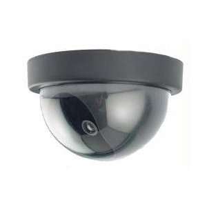  Dome Dummy Camera with Motion Activated Light: Camera 