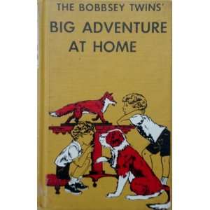  The Bobbsey Twins Big Adventure Home: Laura Lee Hope 