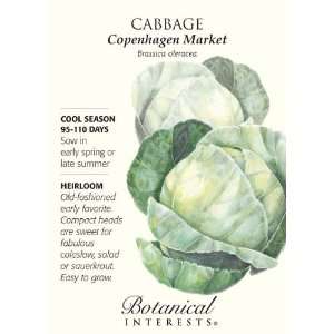  Copenhagen Market Cabbage Seeds   1.5 grams   Botanical 