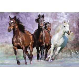  1,000 Piece Puzzle   At Full Gallop: Toys & Games