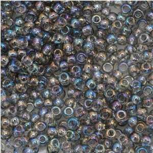  Toho Round Seed Beads 11/0 #176 Transparent Rainbow Black 