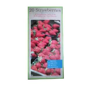  Strawberries Seeds Easy to Grow 10 Early Glow and 10 Ozark 