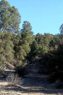 GOLDWATER PLACER GOLD MINING PROJECT FOR SALE!  