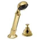   a663450pbv 5000 series hand shower with diverter polished brass