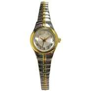 Ladies Watch with Round Goldtone Case, Silver Dial and Two Tone 