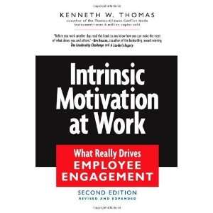  Intrinsic Motivation at Work What Really Drives Employee 
