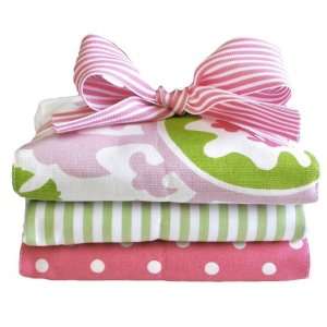  Strawberry Fields Burp Cloth Set Baby